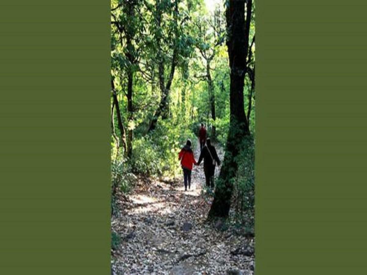 Jungle Lore Birding Lodge Nainital Exteriér fotografie