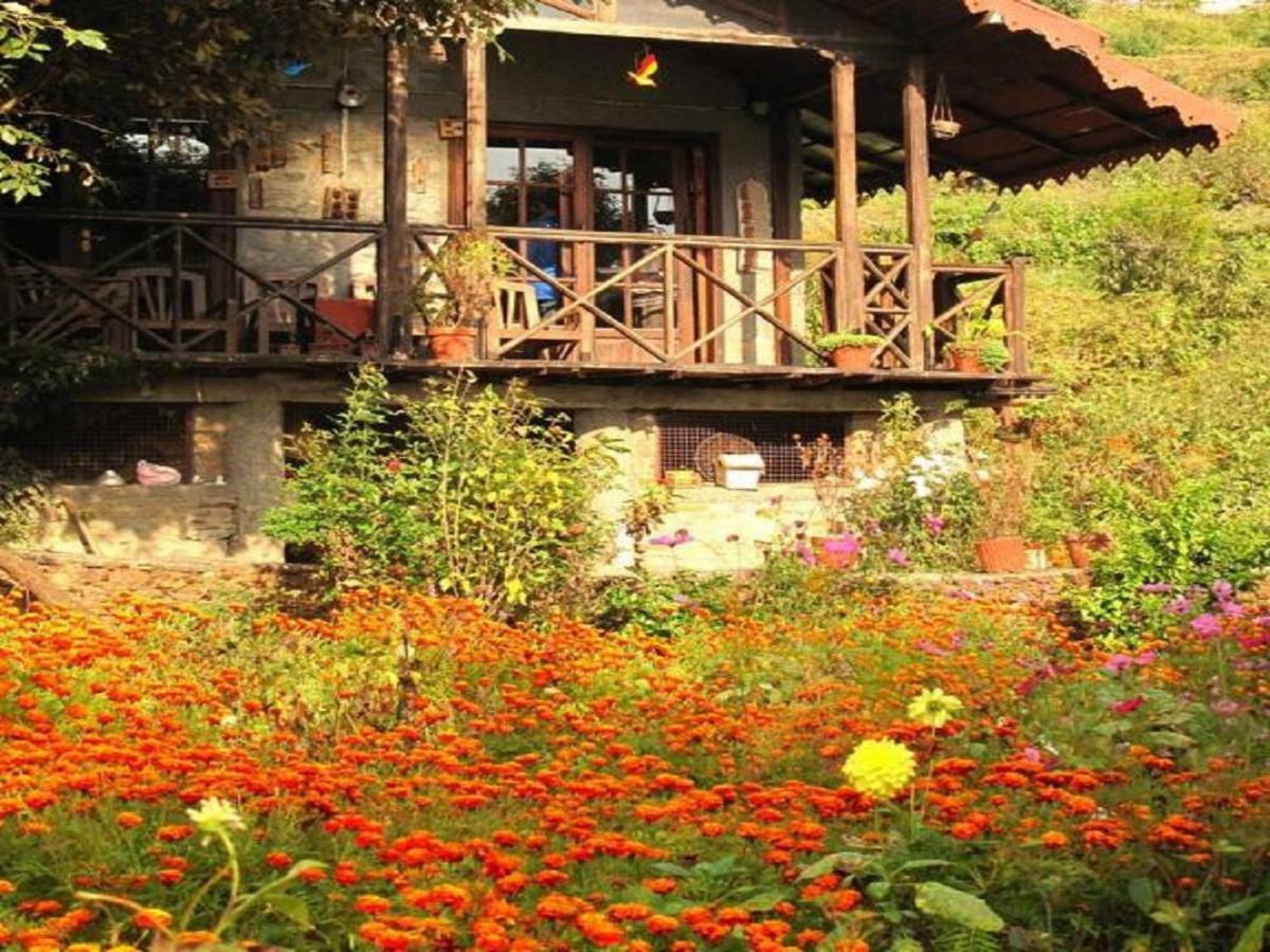 Jungle Lore Birding Lodge Nainital Exteriér fotografie